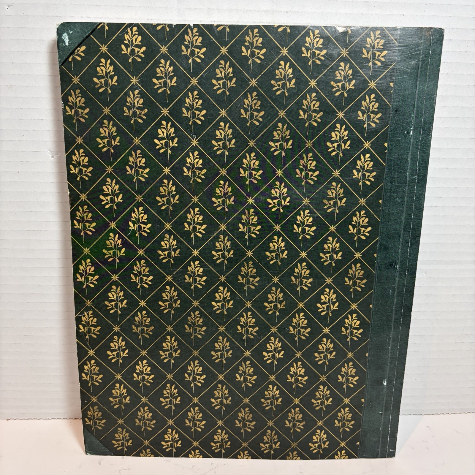 The Lost Book of Remedies Claude Davis Paperback 2018 First Edition