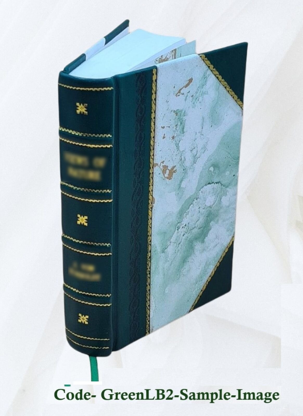 Masterpieces Of Piano Music 1918 By Albert E. Wier [Leather Bound]