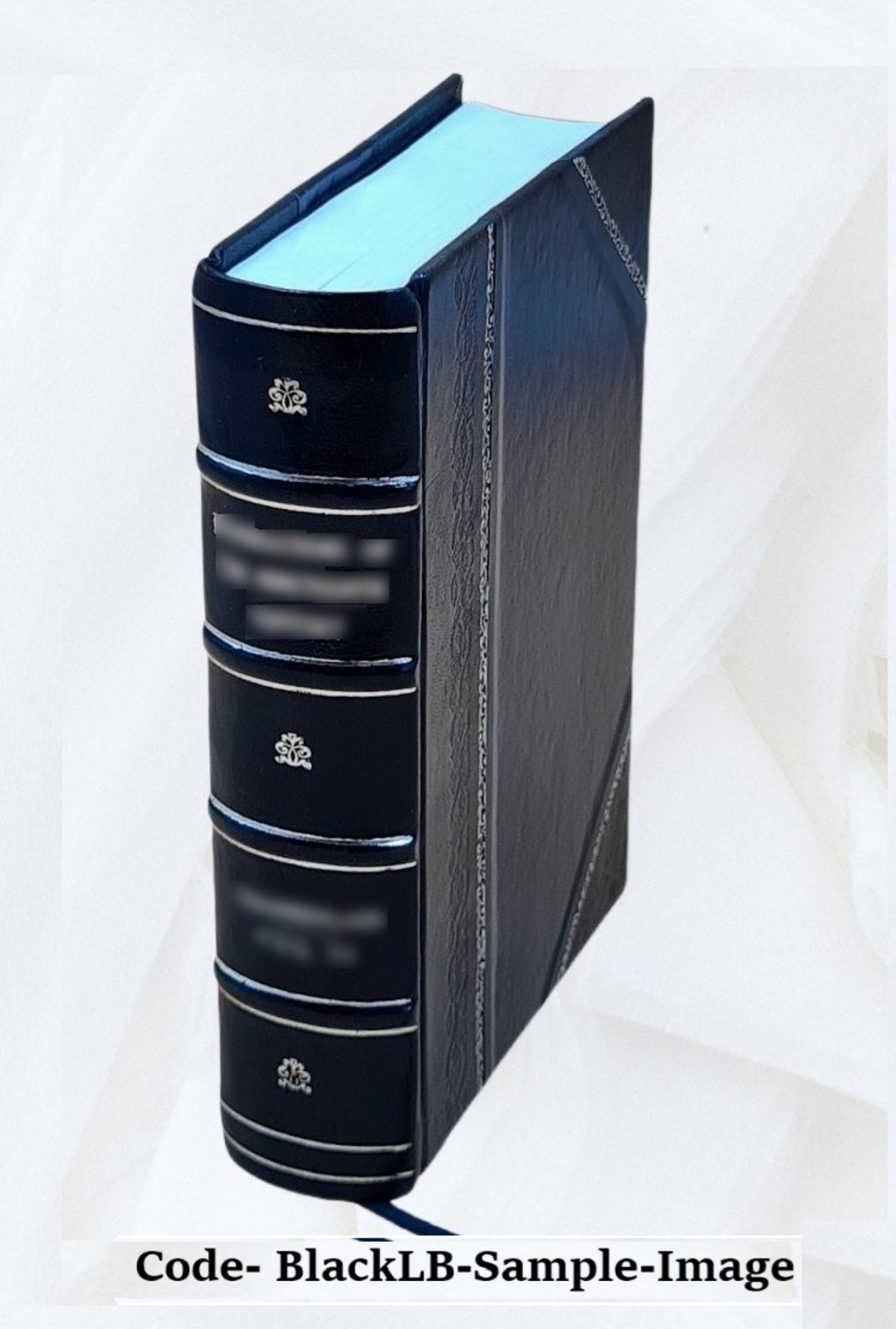 Masterpieces Of Piano Music 1918 By Albert E. Wier [Leather Bound]
