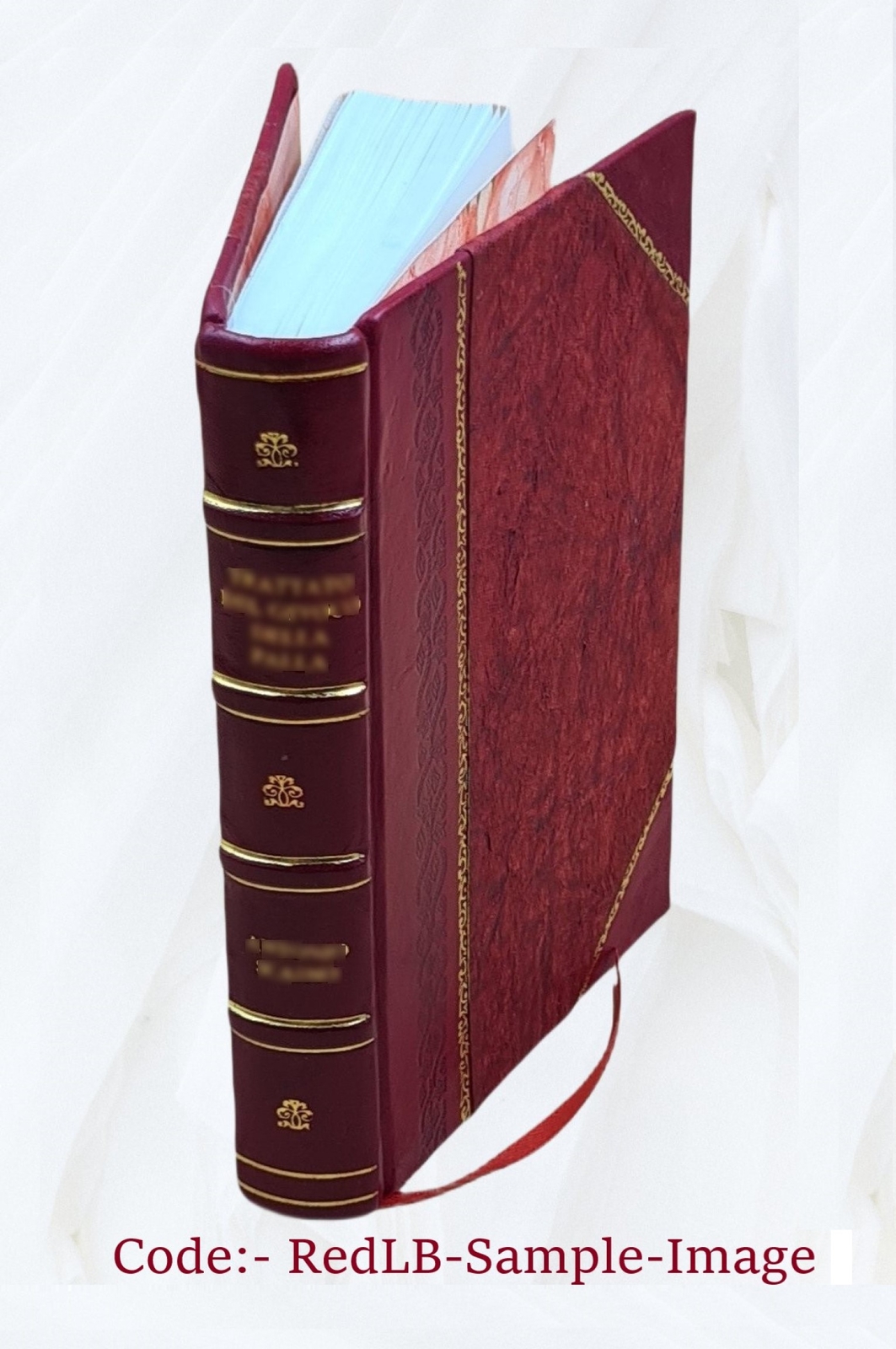 The Negro In Our History 1922 By Carter G. Woodson [Leather Bound]